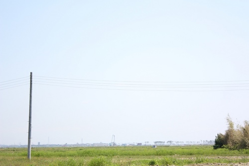 二木から深沼海岸を眺める.jpg