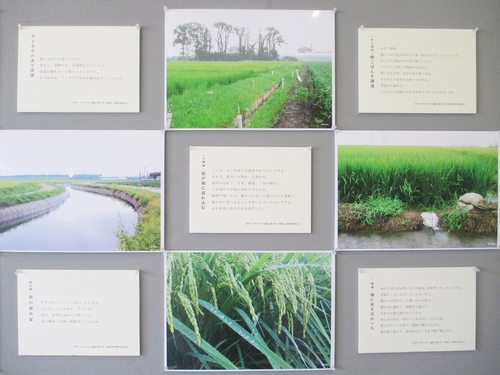 合同展示03.JPG
