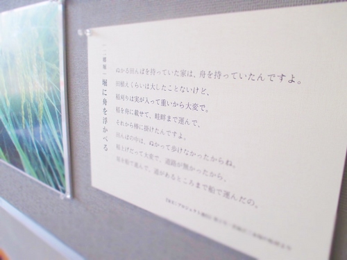 合同展示04.JPG